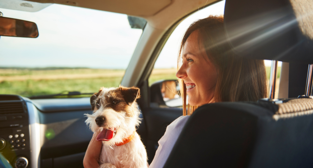 Smilende kvinde sidder i en bil med hund på skødet i sollys